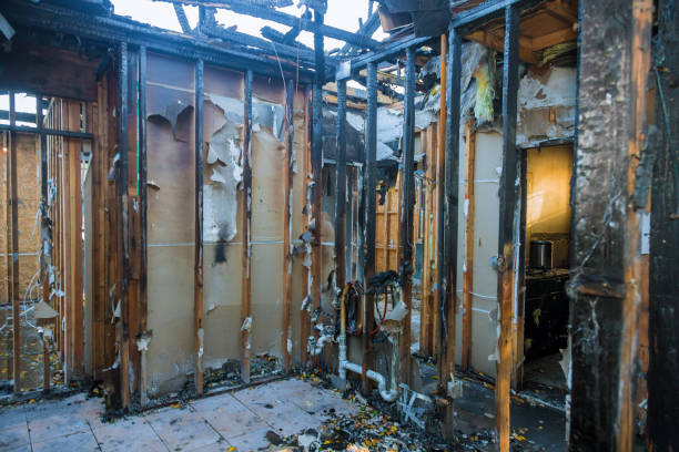 Professional Fire Damage Removal technician working in Forsyth, MO